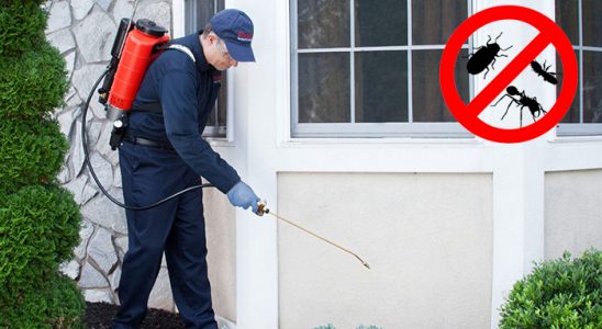 Kurucaşile Haşere İlaçlama böcek ilaçlama ve haşere kontrolü — ilaclama-tr.com